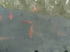 -明月山天沐温泉度假村