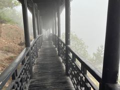 -石老人观光园