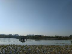 -大兴滨河森林公园