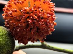-大铁勺新津菜(迎水道店)