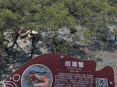 -北海金海湾红树林生态旅游区