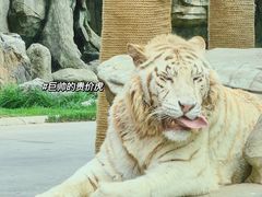 -北京野生动物园