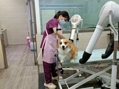 -暖阳宠物医院·犬猫康复中心·骨科
