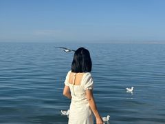 -青海湖国家重点风景名胜区