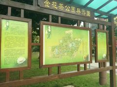 -金花茶公园