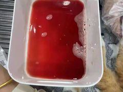 -四月宠物医院·猫专科·心脏专科·内科(转塘店)
