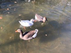 -南宫五洲植物乐园