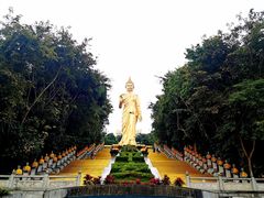 -西双版纳勐泐文化旅游区