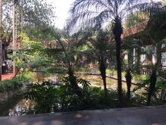 -河内西湖莲花自助餐厅