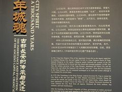 -西安唐皇城墙含光门遗址博物馆