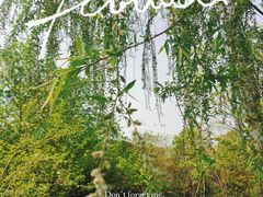 -东湖落雁景区