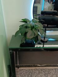 -BUTY HAIR 比帝专业烫染店
