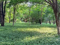 -沈阳植物园