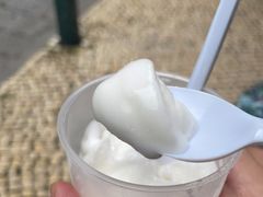 -洪馨椰子