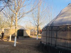 -九十九顶毡房(阜石路店)