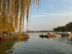 -鹊华居·地道鲁菜·海鲜·融合味(大明湖店)