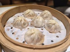-苏堂阳春面•九年庆(北京路天河城店)