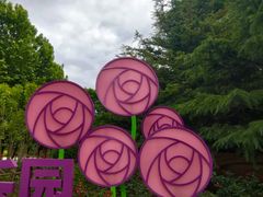 -大望京公园