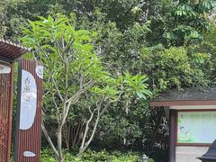 -碧水湾温泉