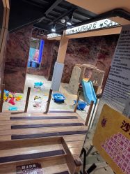 -卡通尼·Safari非洲探索乐园·生日会(金桥国际商业广场店)