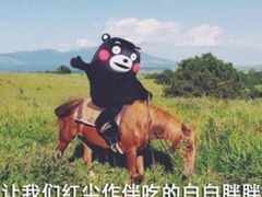 -箪食记(汉口路店)