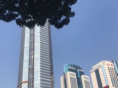 -赛格电子市场(华强北路店)