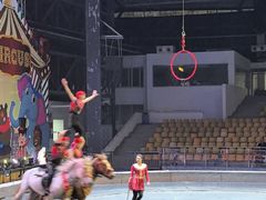 -无锡动物园·太湖欢乐园