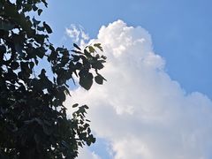 -黄埔油麻山森林公园