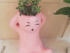 -莲花国际广场