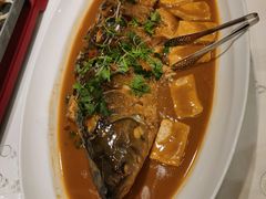 开河鲤鱼-九十九顶毡房(阜石路店)