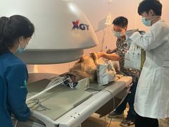 -瑞派天使宠物医院·神经外科·骨科·核磁(洛川中路店)