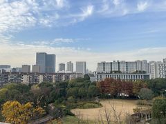 -中共上海市委党校 上海行政学院