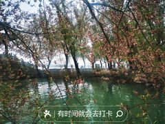 -颐和园