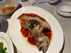 -芙蓉堂(武汉天地店)