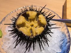 -琴寿司居酒屋(中山广场店)