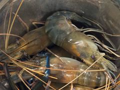 -一方渔歌蒸汽海鲜自助(文化路万达广场店)