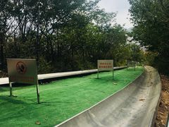 -富斯特索道