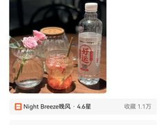 -Night Breeze晚风