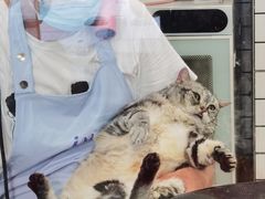 -熊小胖宠物生活馆(天华园店)