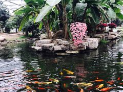 -南通洲际绿博园