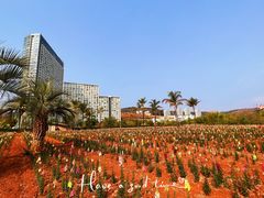 -月亮湾湿地公园