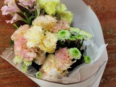 -南瓜谷塔罗(和义店)