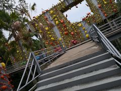 -东芭乐园