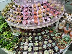 -KKV(深圳kk one 店)