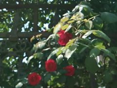 -湖北省中医院(花园山院区)