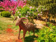 -北京西山国家森林公园