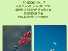 -CGWANG王氏教育(上海校区)