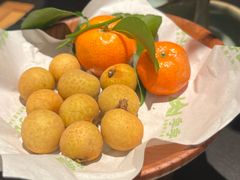 -季季山·云南野生菌火锅(上海首店)