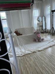 -模卡原创写真馆(苏州总店)