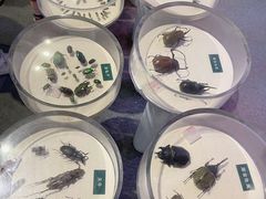 -陕西自然博物馆